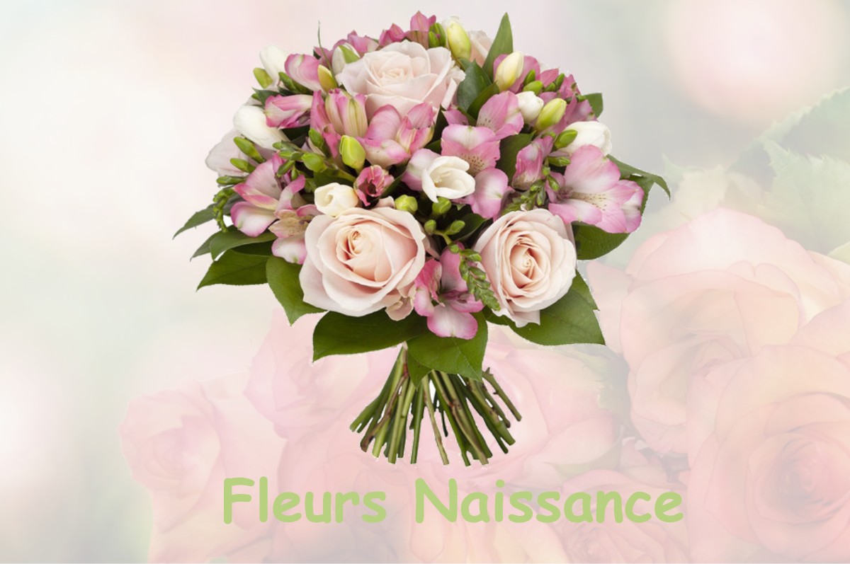 fleurs naissance TIVERNON